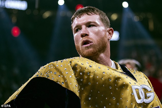 Paul terdesak untuk menentang Canelo Alvarez, tetapi berbuat demikian akan berakhir dengan bencana untuknya