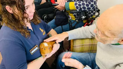 Henford House Seorang lelaki warga emas mengusap seekor guinea pig yang dipegang oleh seorang wanita dalam kemeja-t berjenama Longleat.