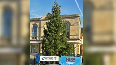 Westbury Town Council Sebatang pokok Krismas yang besar dengan sekatan mengelilinginya di hadapan bangunan tiga tingkat gaya Georgia.