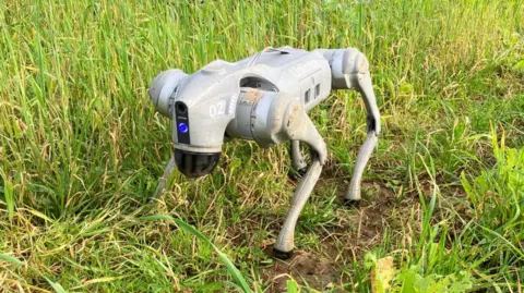 Persatuan tanah Anjing robot berkaki empat di lapangan